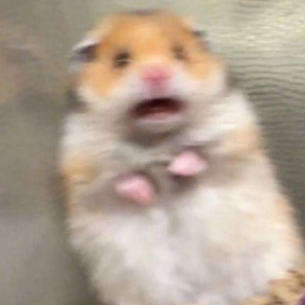 햄죠맨
