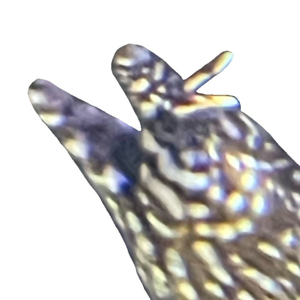 ｷﾞｮ