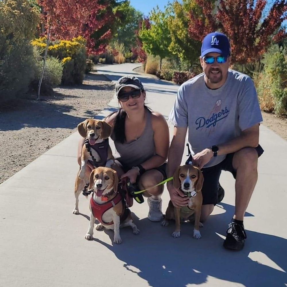 Beagle Mom