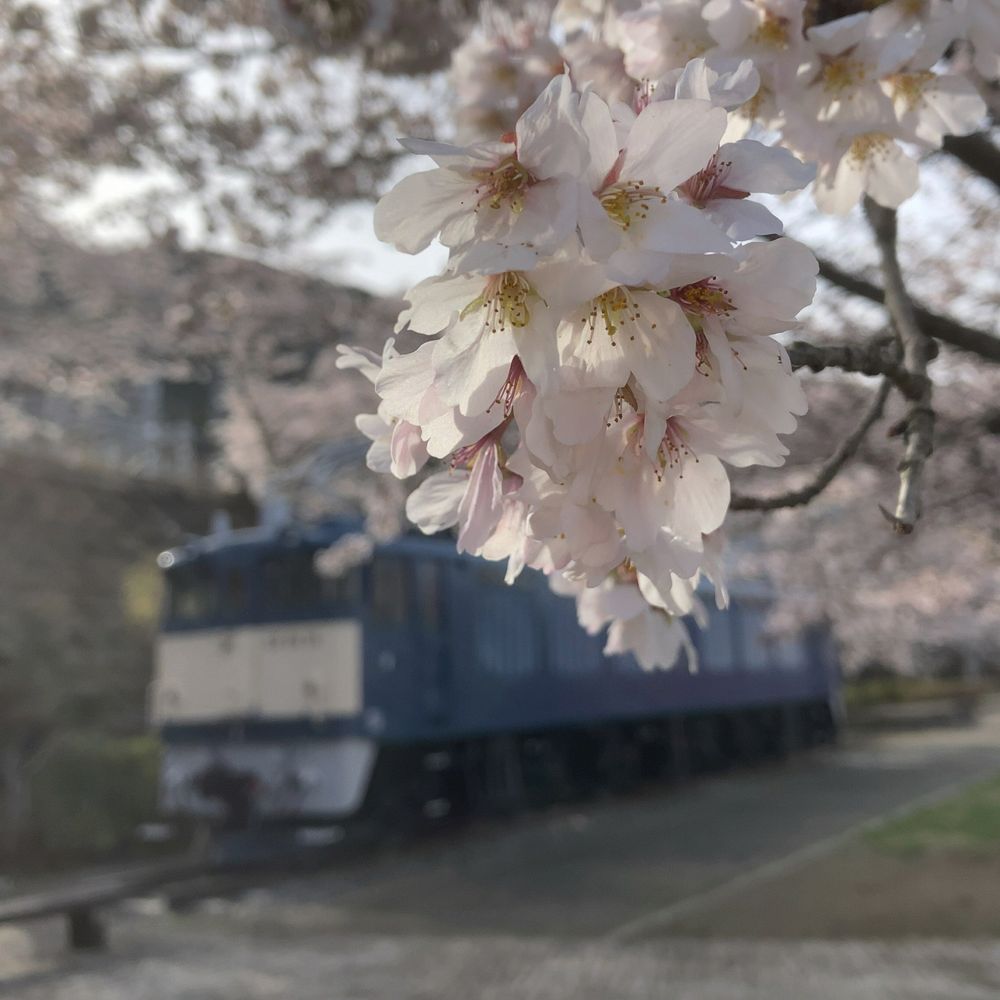 てちこうちゃ