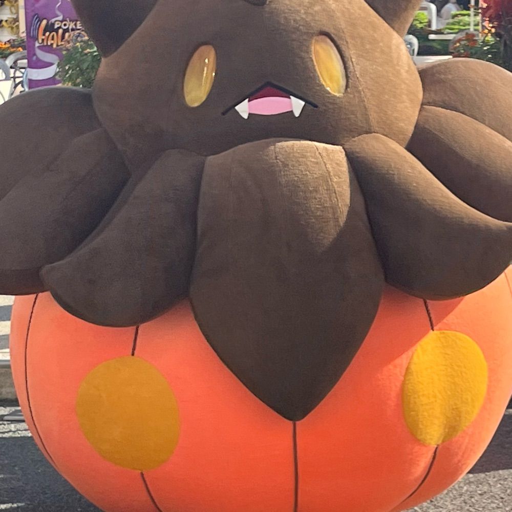 しろいの