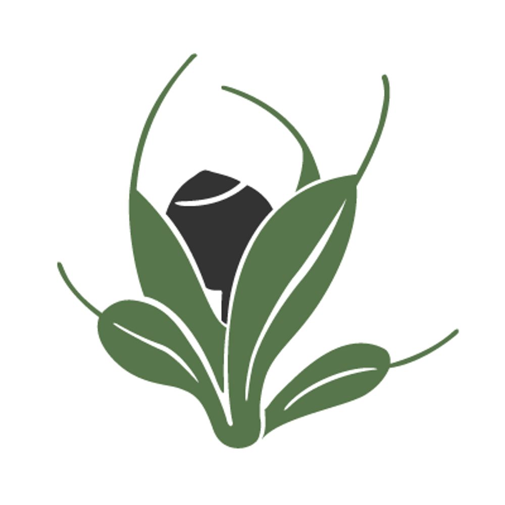 Sociedad Española de Briología