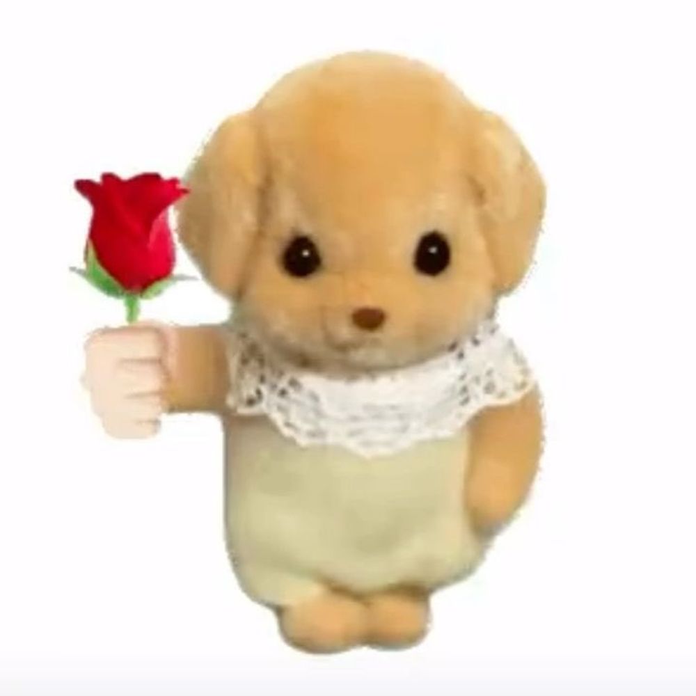 쫍조