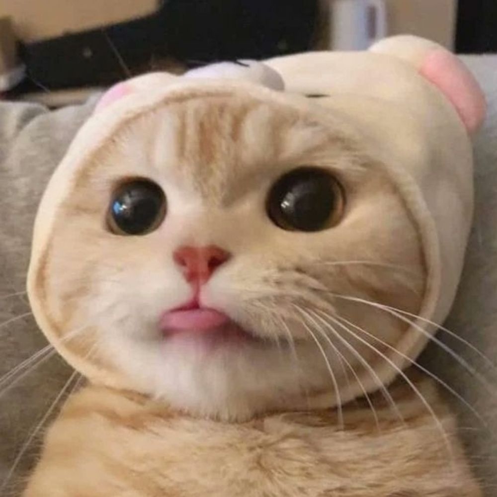 윰