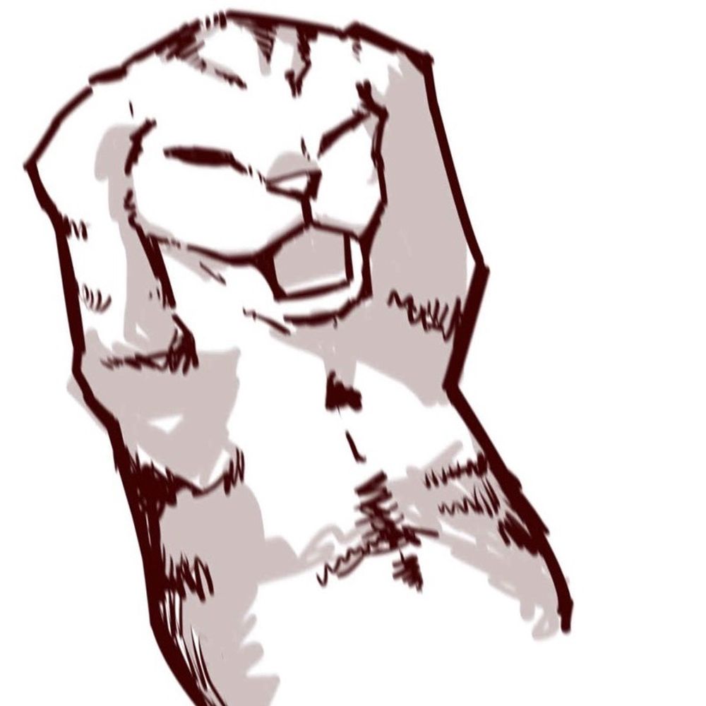 ぬこすけ