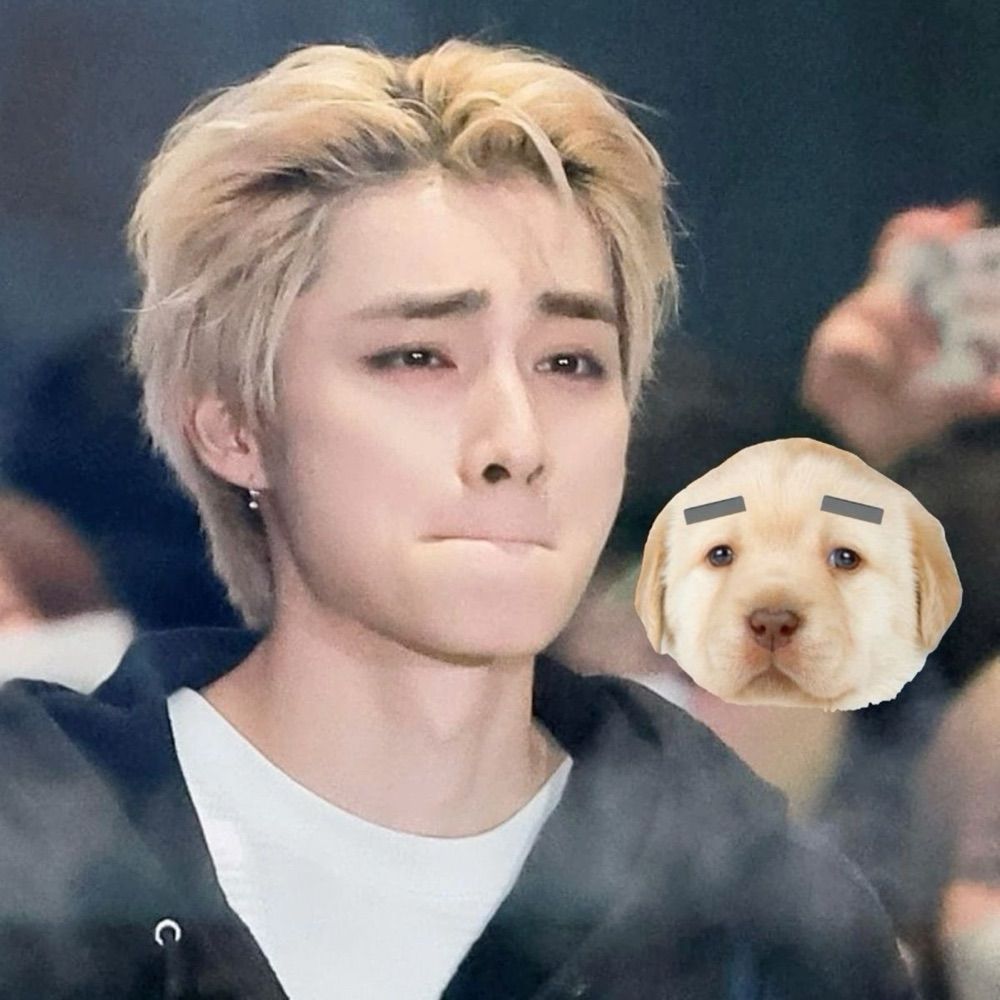te amo xiaojun