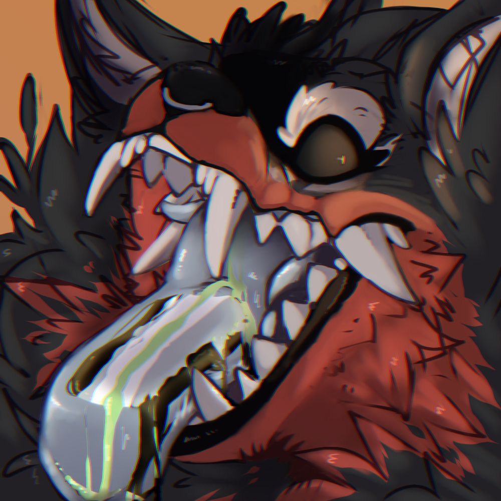 Squeedlyspooch Haver