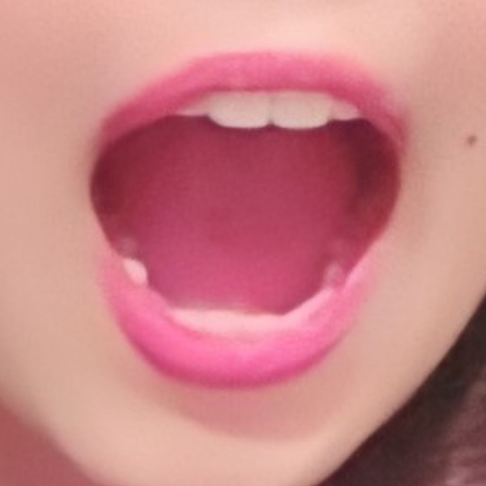 ユキミソウ