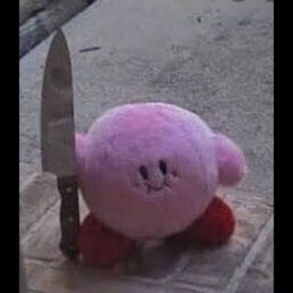 autenticamente bolado
