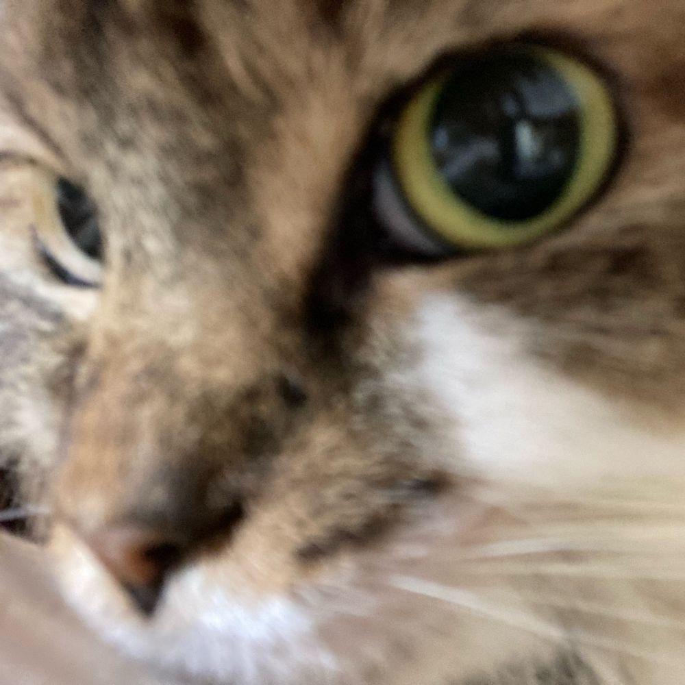 さぬ