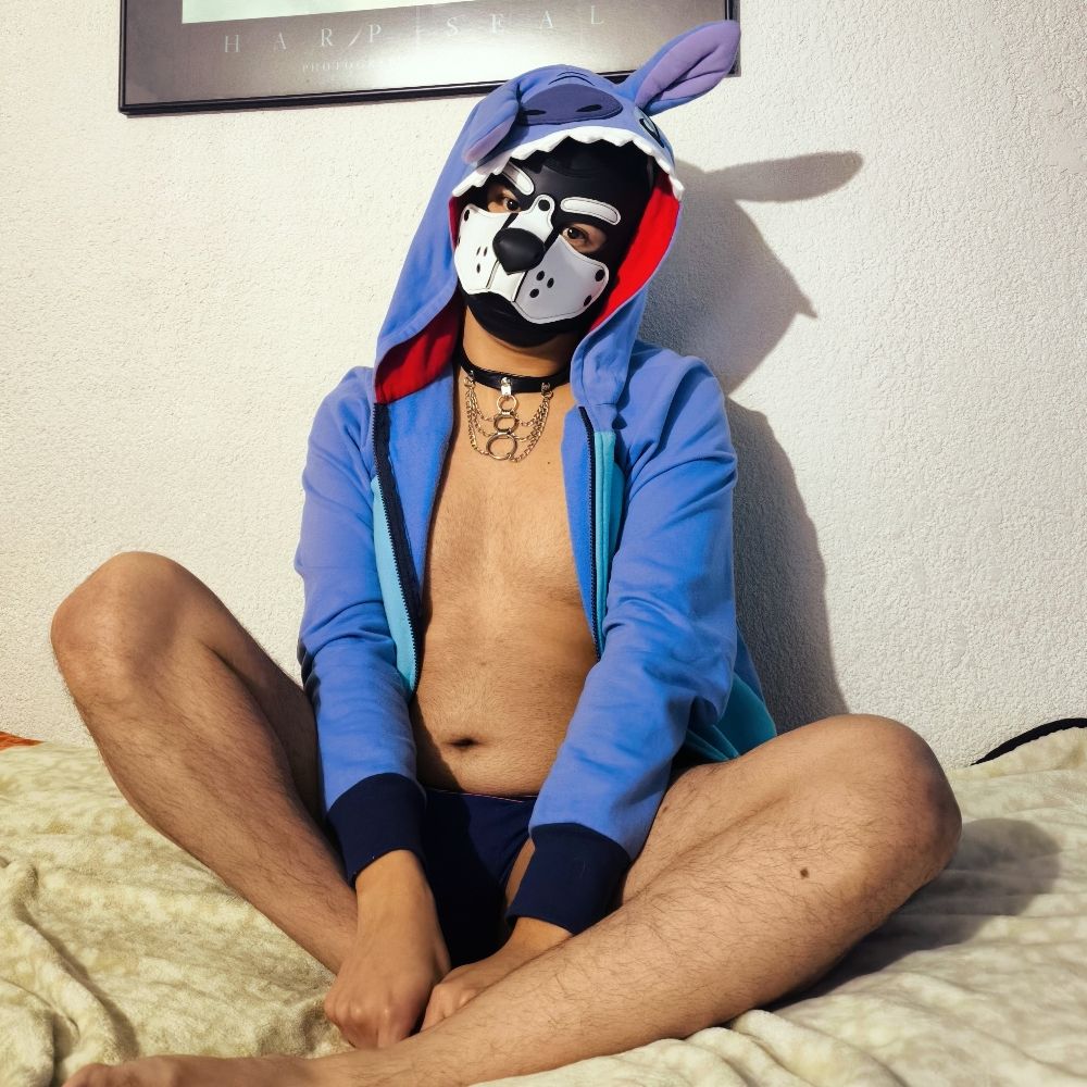 Vâlkan The Pup