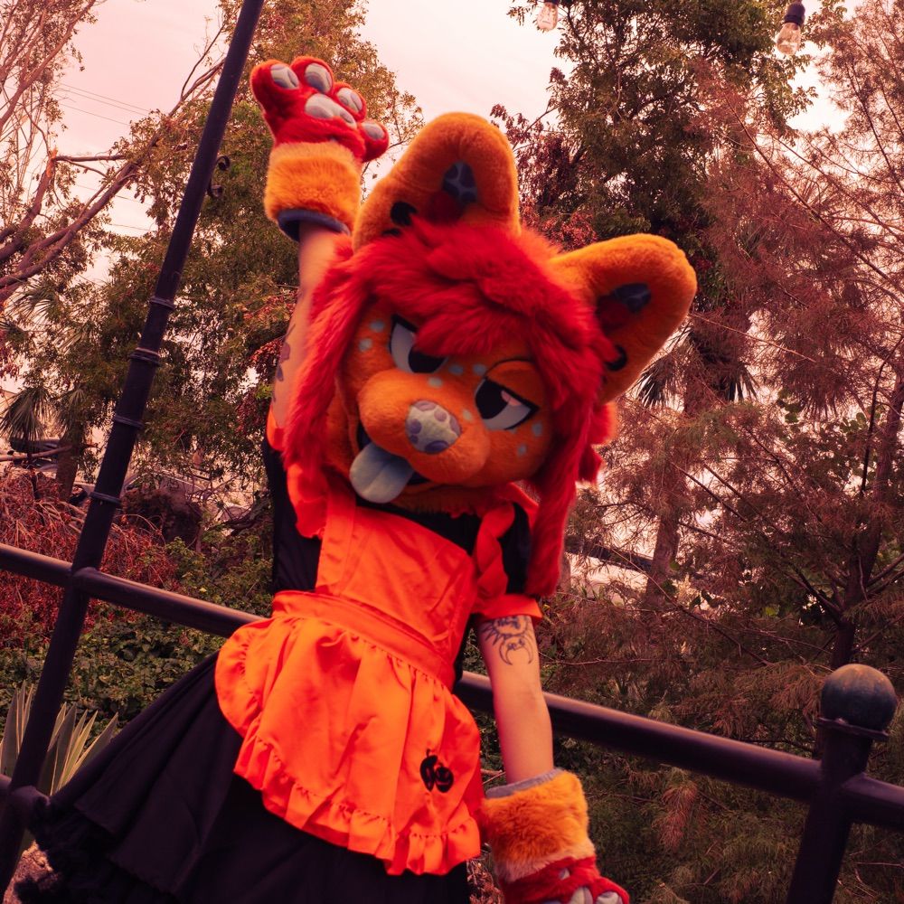 Sunny T. Shiba