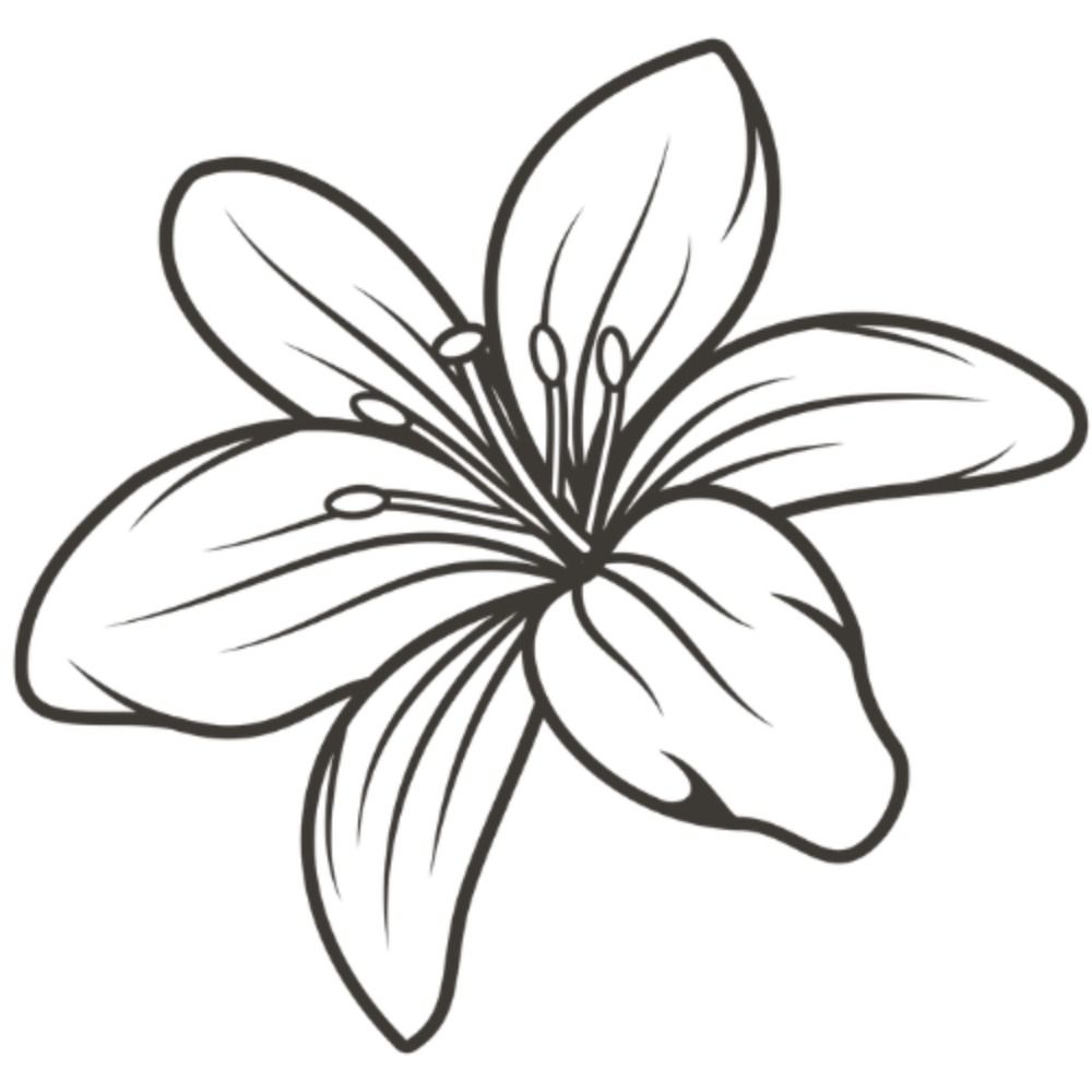 Tiger Lily Publishing Co. | SUBS OPEN