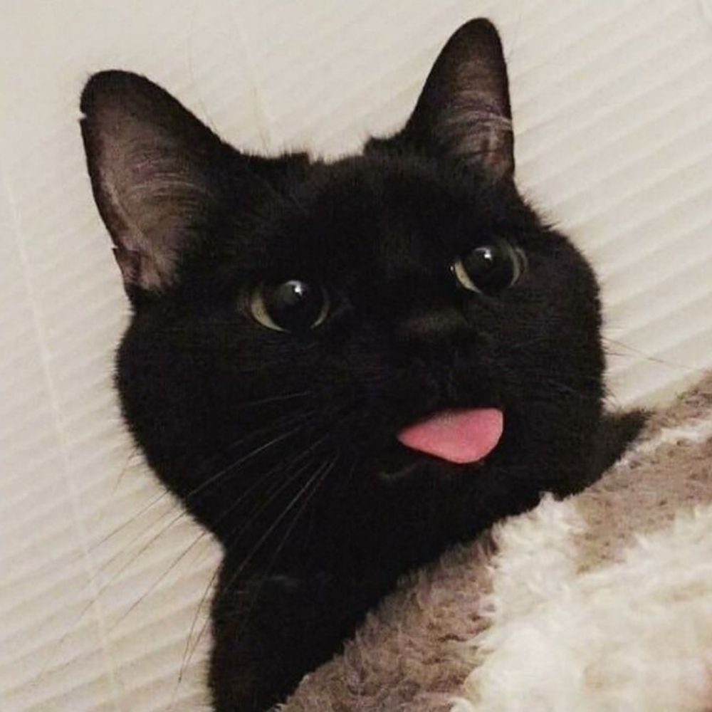 Manuuu