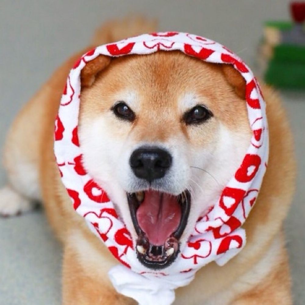 さくさん