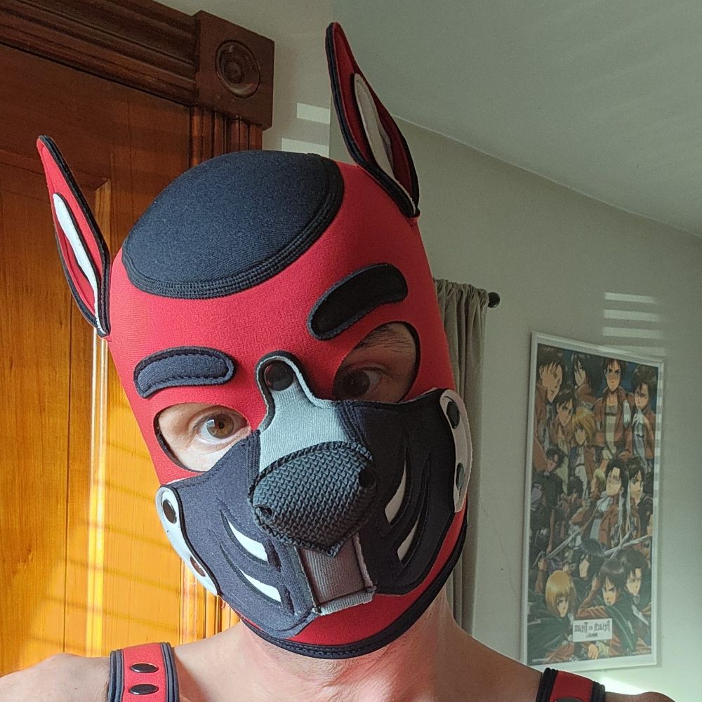 PupFFury