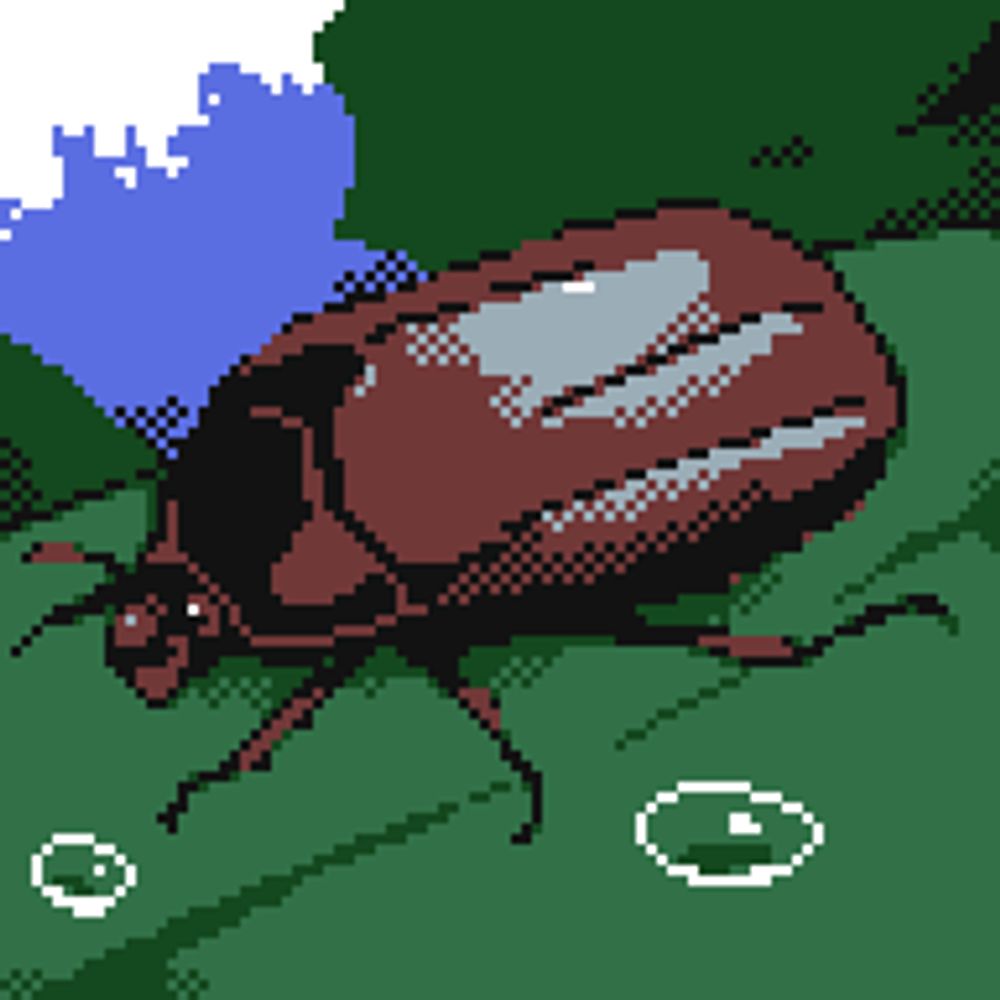 witchbug