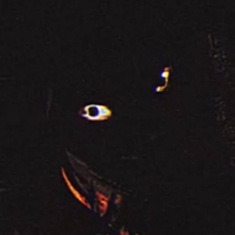 Danny