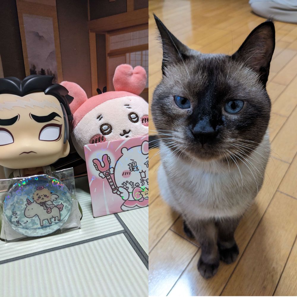 茶子