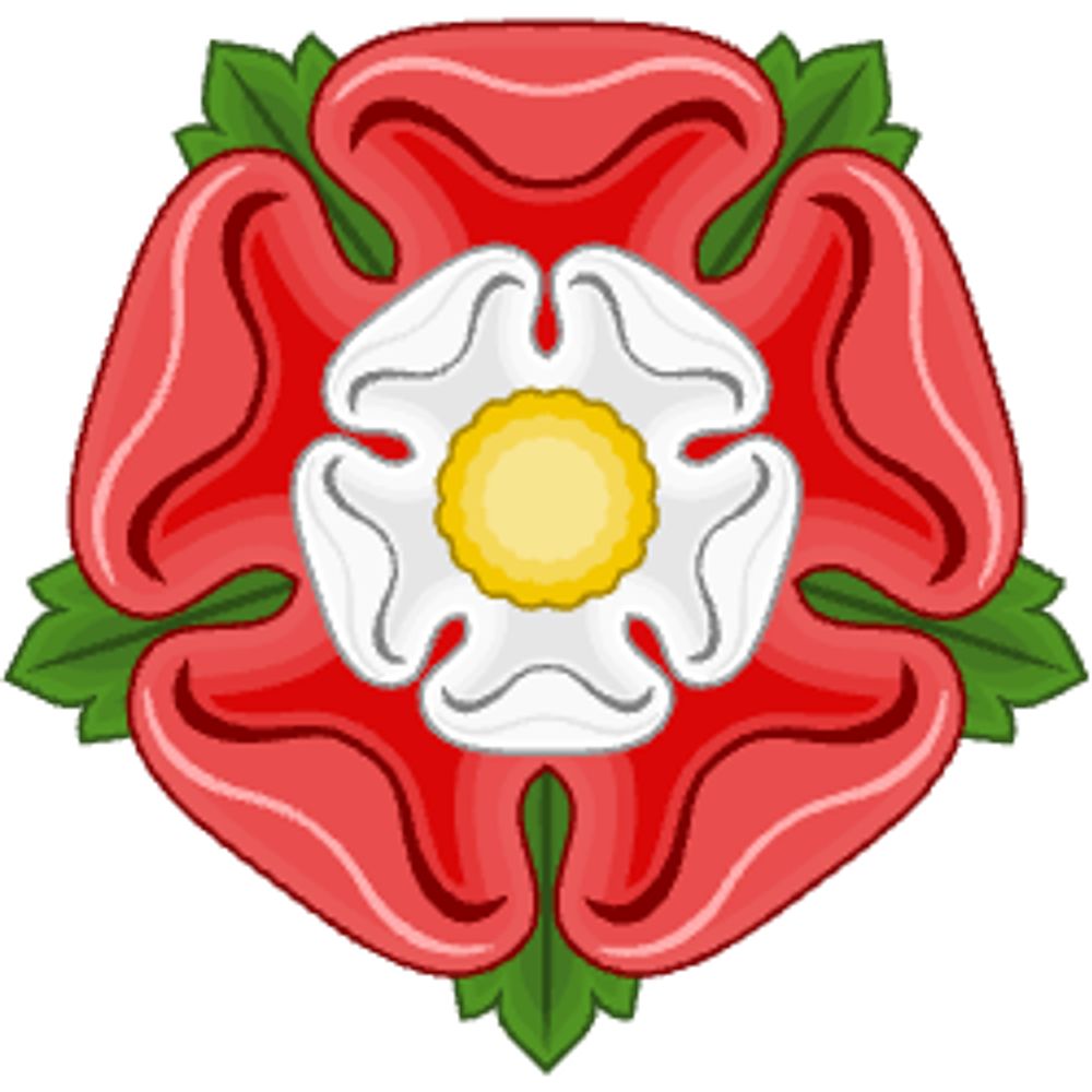 Tudor Era History Nerd