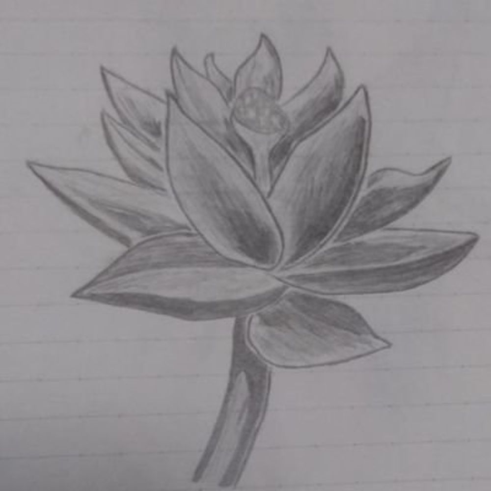 tora_torion