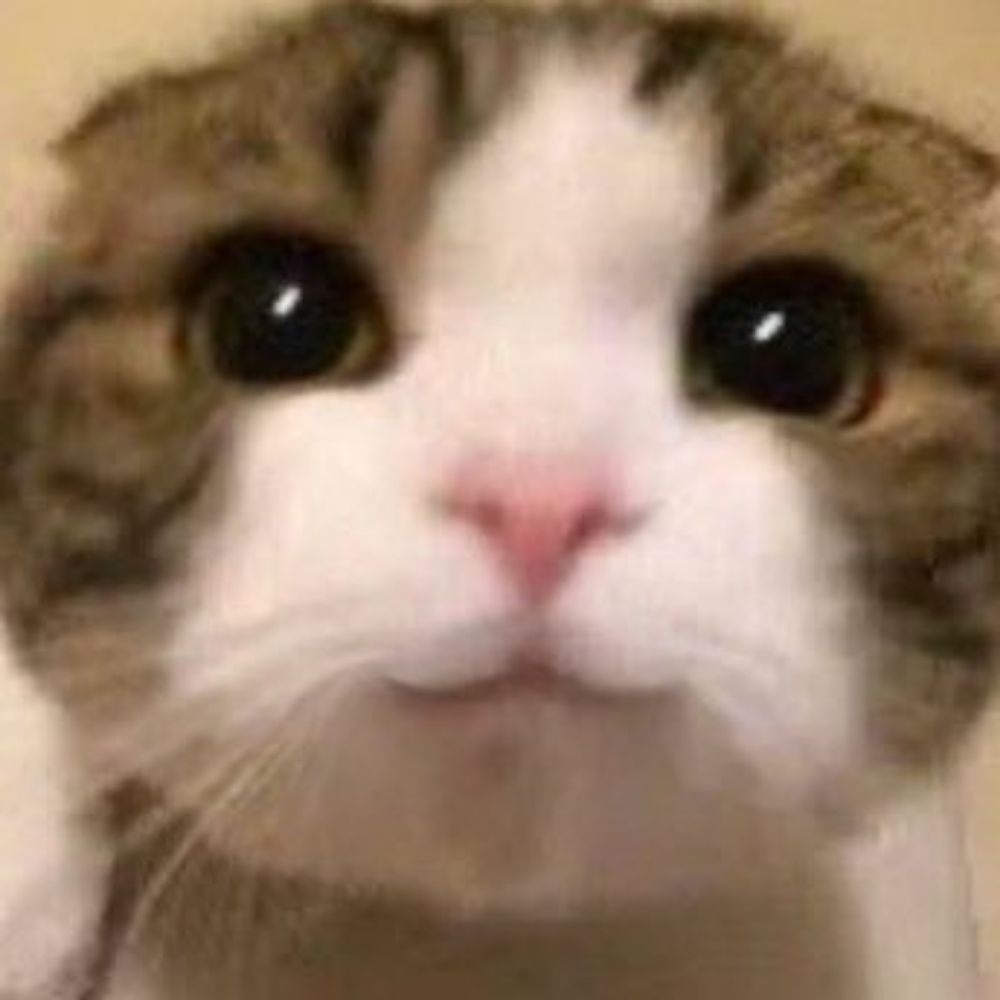 名前考え中