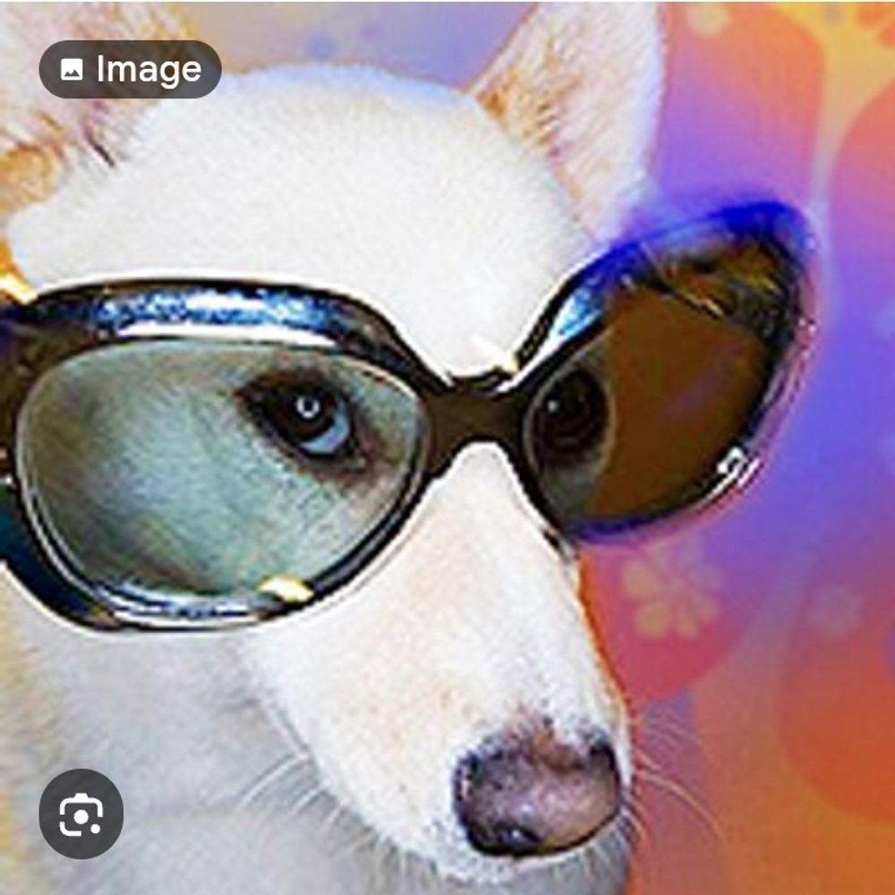 daggydame.bsky.social profile picture