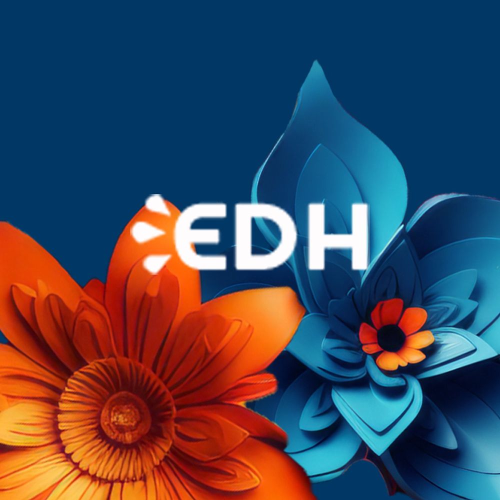 Erin Dameron Hill EDHProfessionals