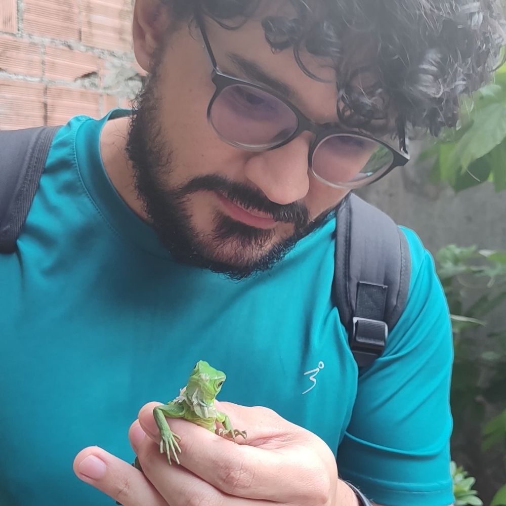 Tartaruga Mestre