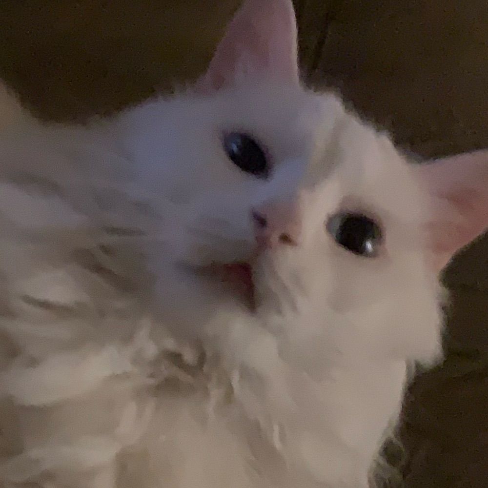 angel