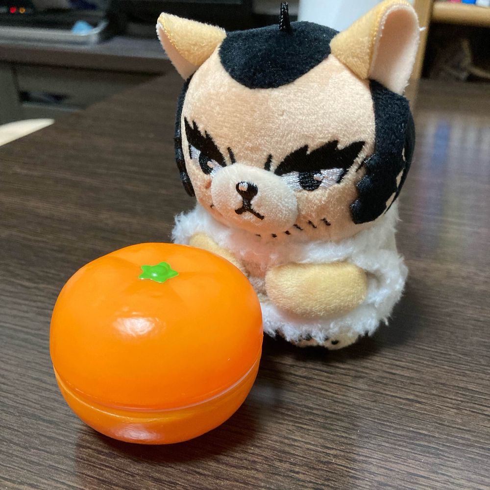 コタコロ