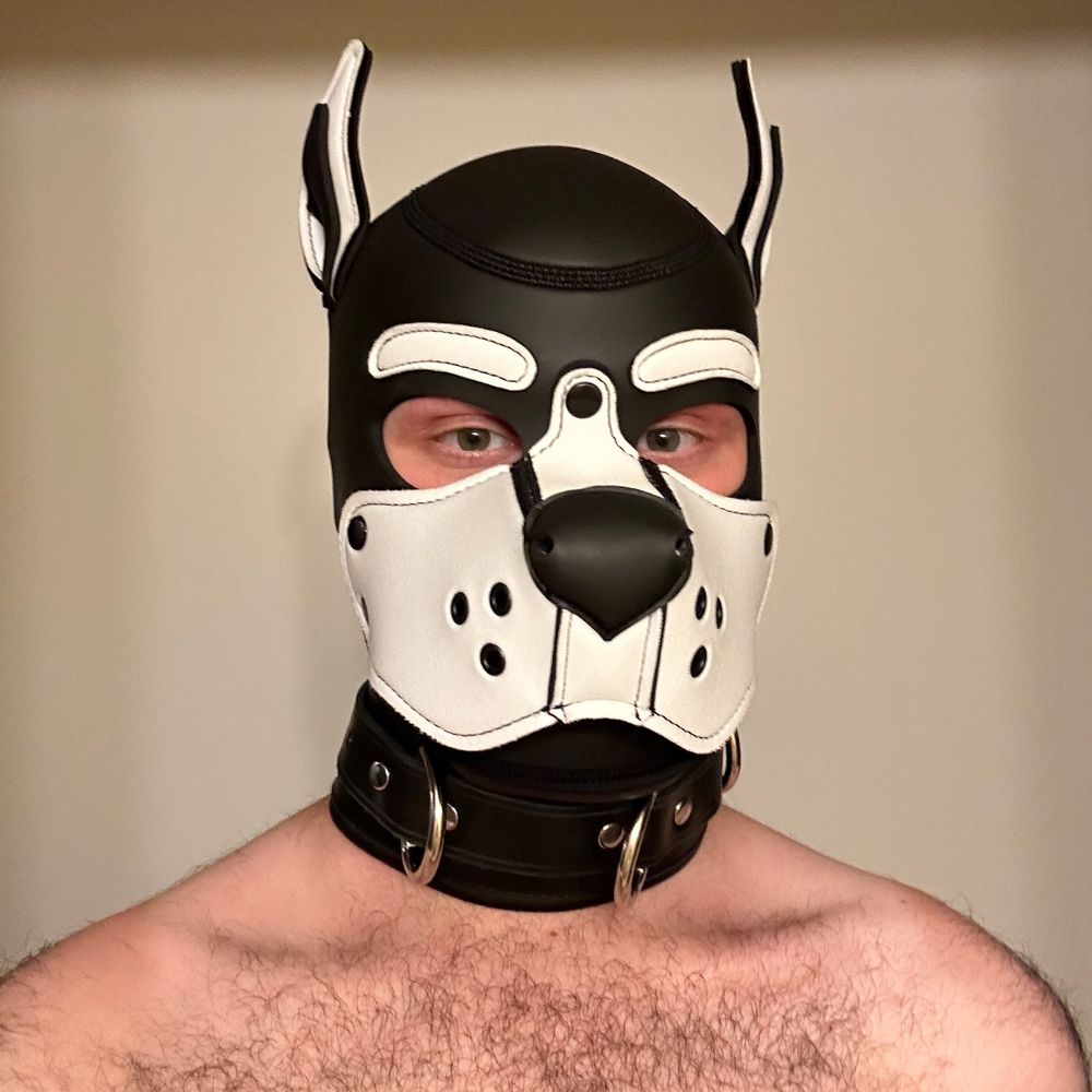 Pup Sen