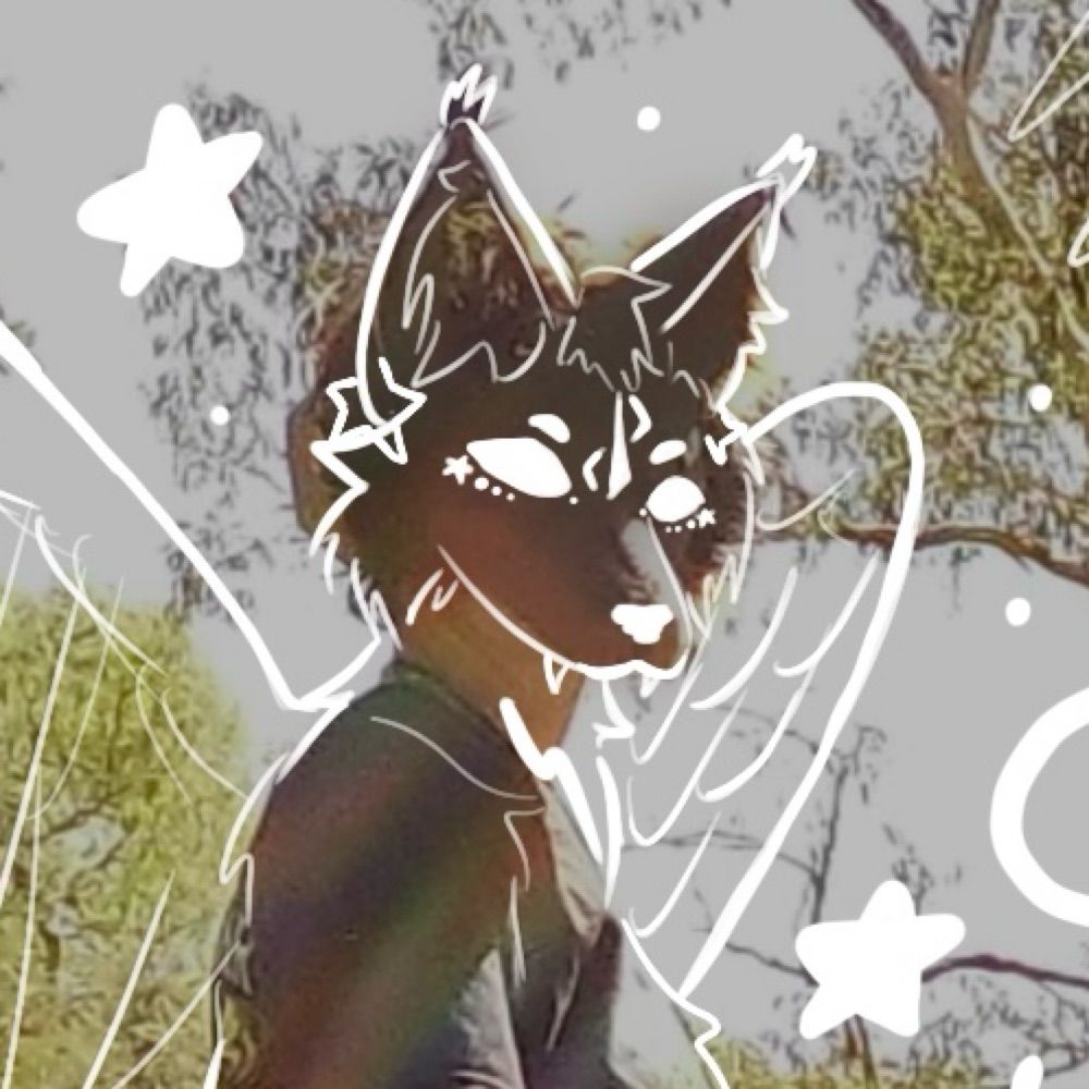 𐂯 𝐒𝐏𝐈𝐑𝐈𝐓 🐾