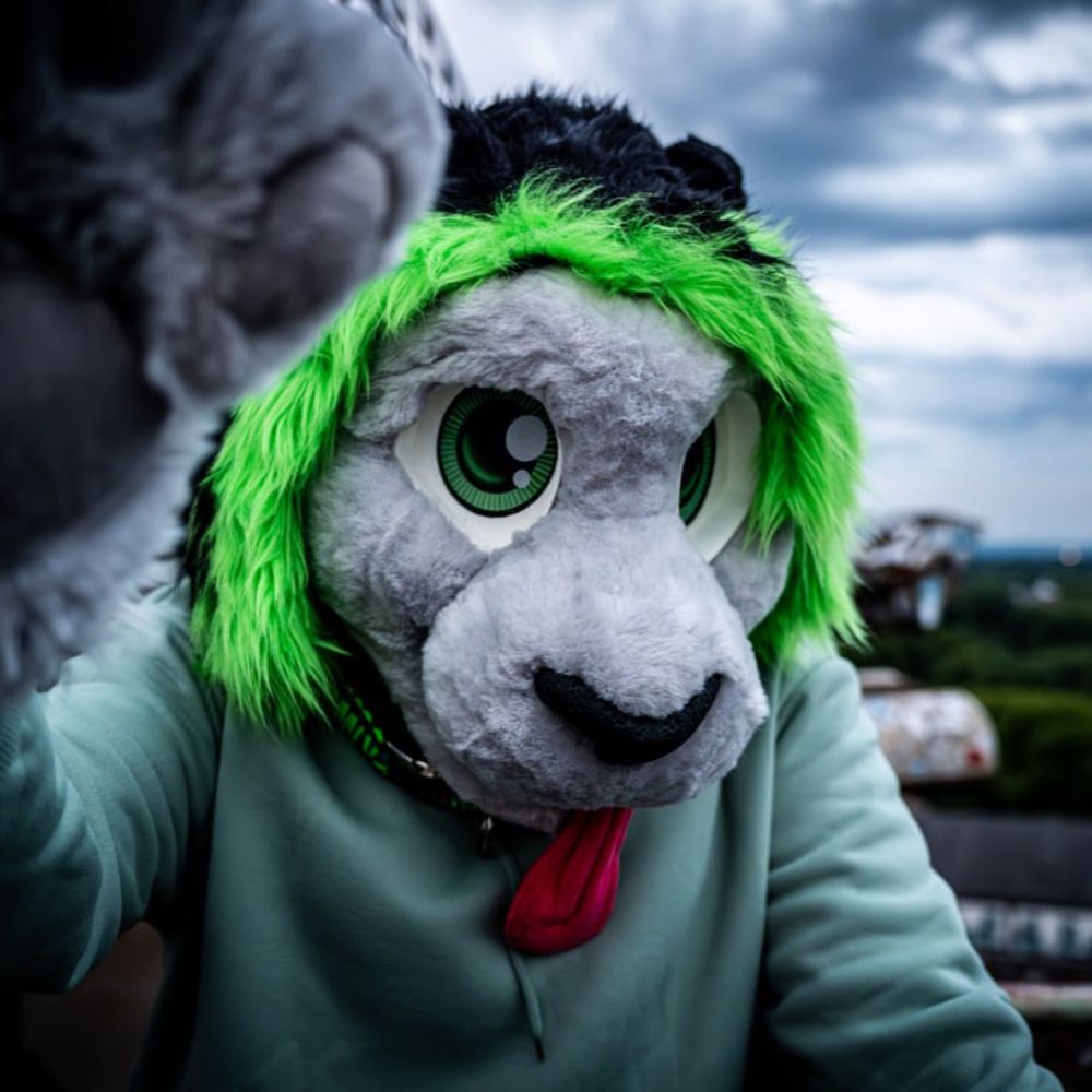 Lucy_thePanther