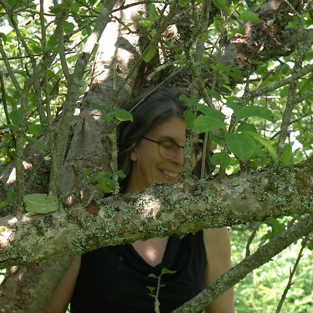 Eleonore Schonmaier Author