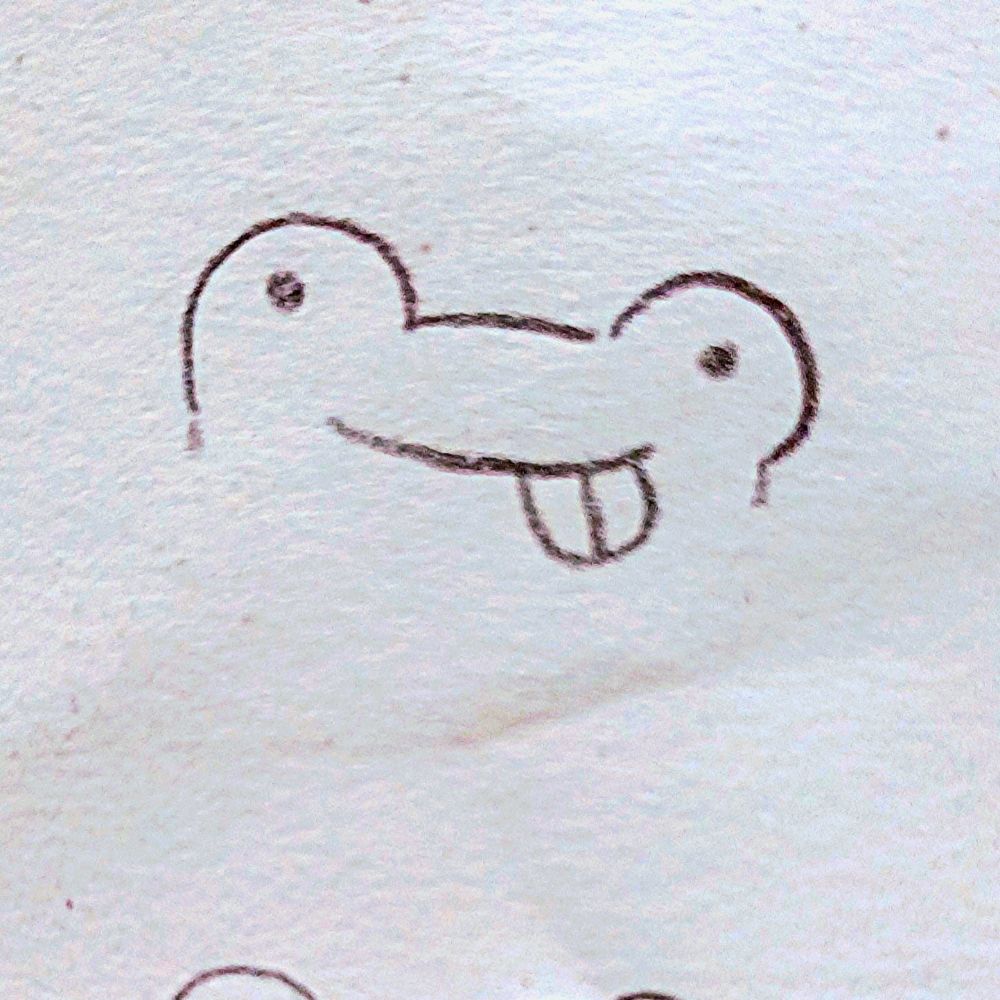 탄포포