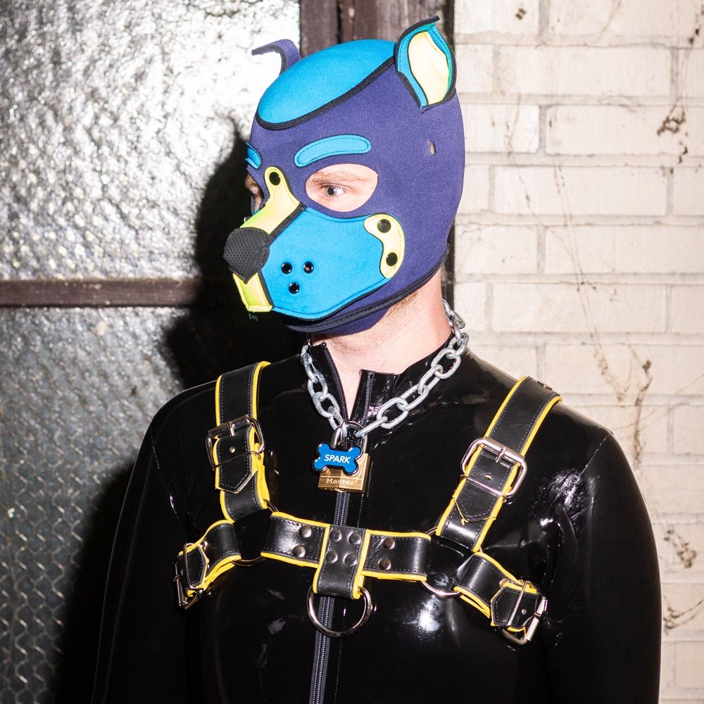 Pup Spark
