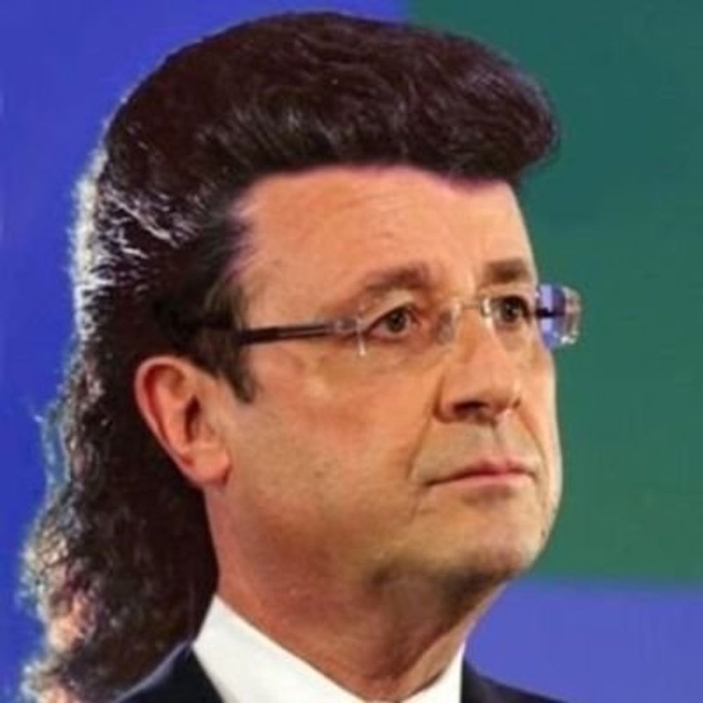 Loulou de Poméranie 