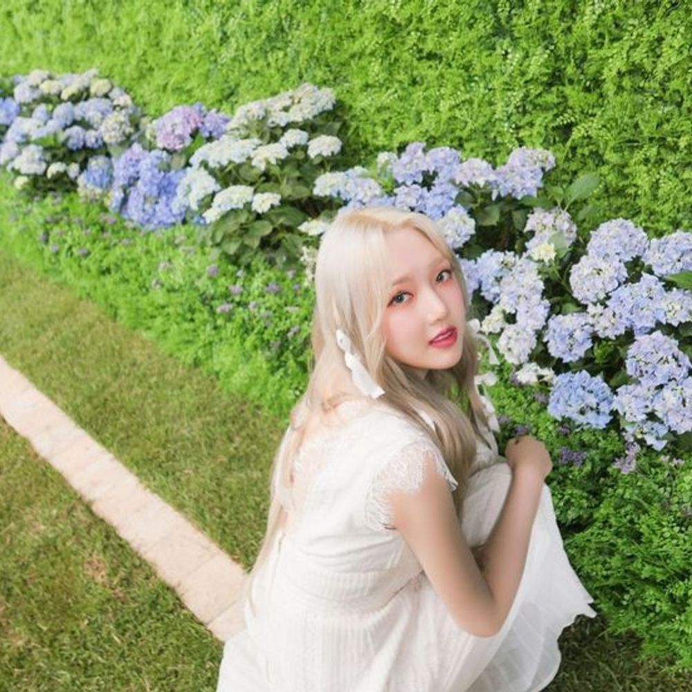 Michinese Mineral, 정 