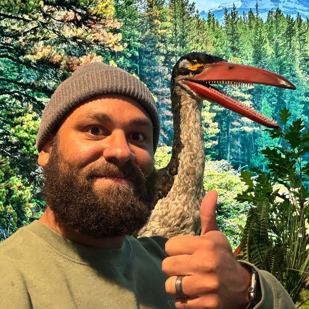 The Birding Beardsman