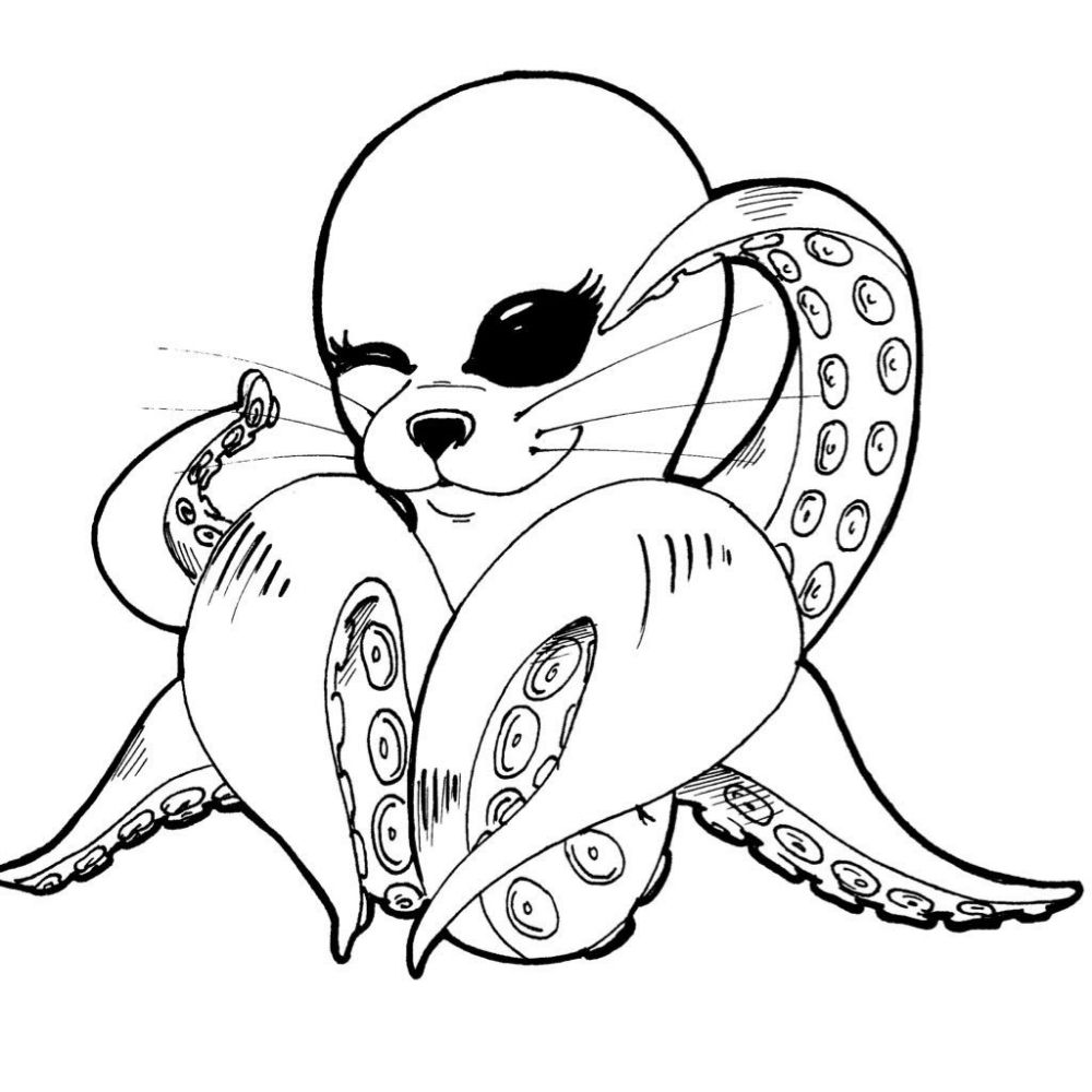 phoquetopus.bsky.social profile picture