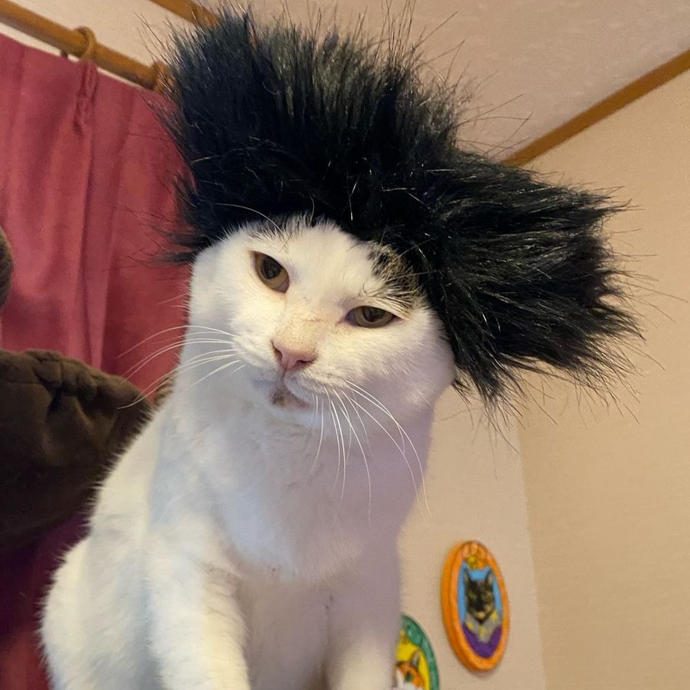 むぎこ
