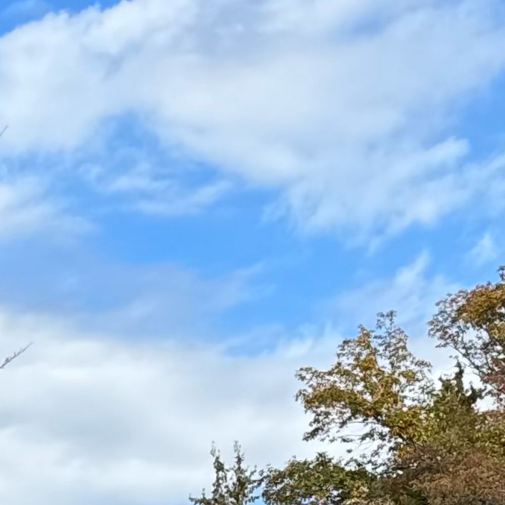 ちていこ