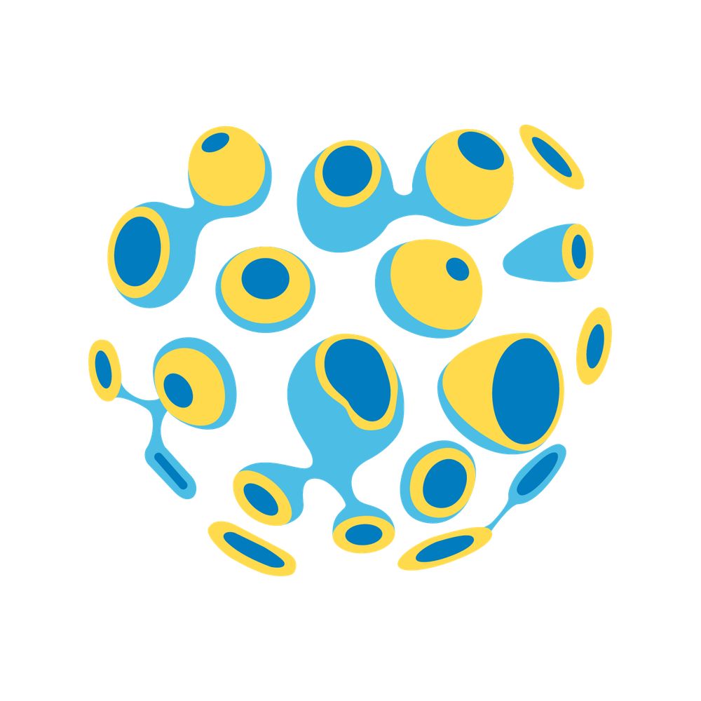 12th World Sponge Conference