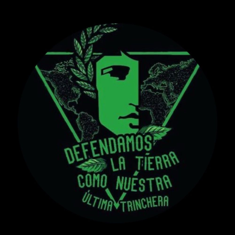 Ferro-moza