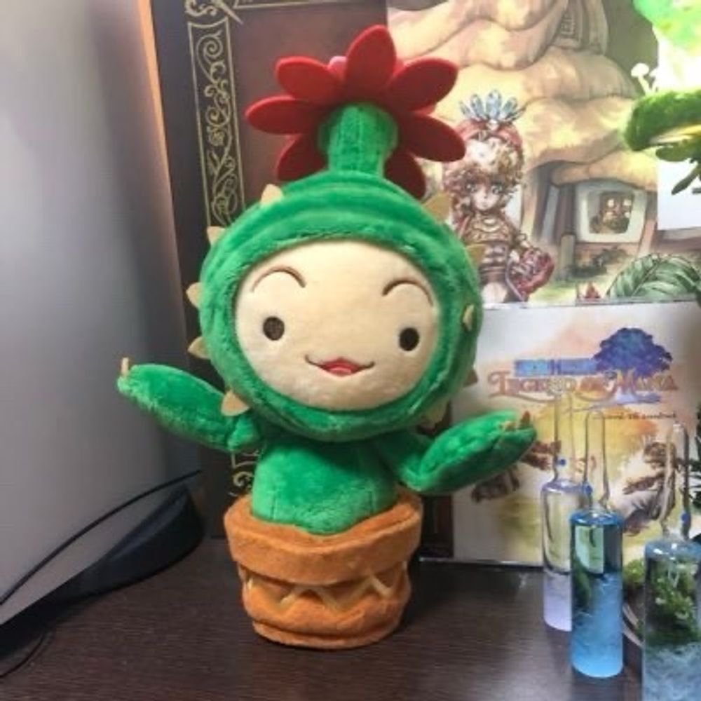 コヅラ涅槃寂静
