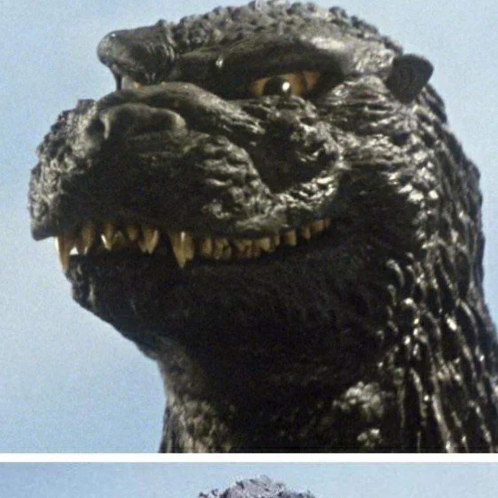 Kris Rex