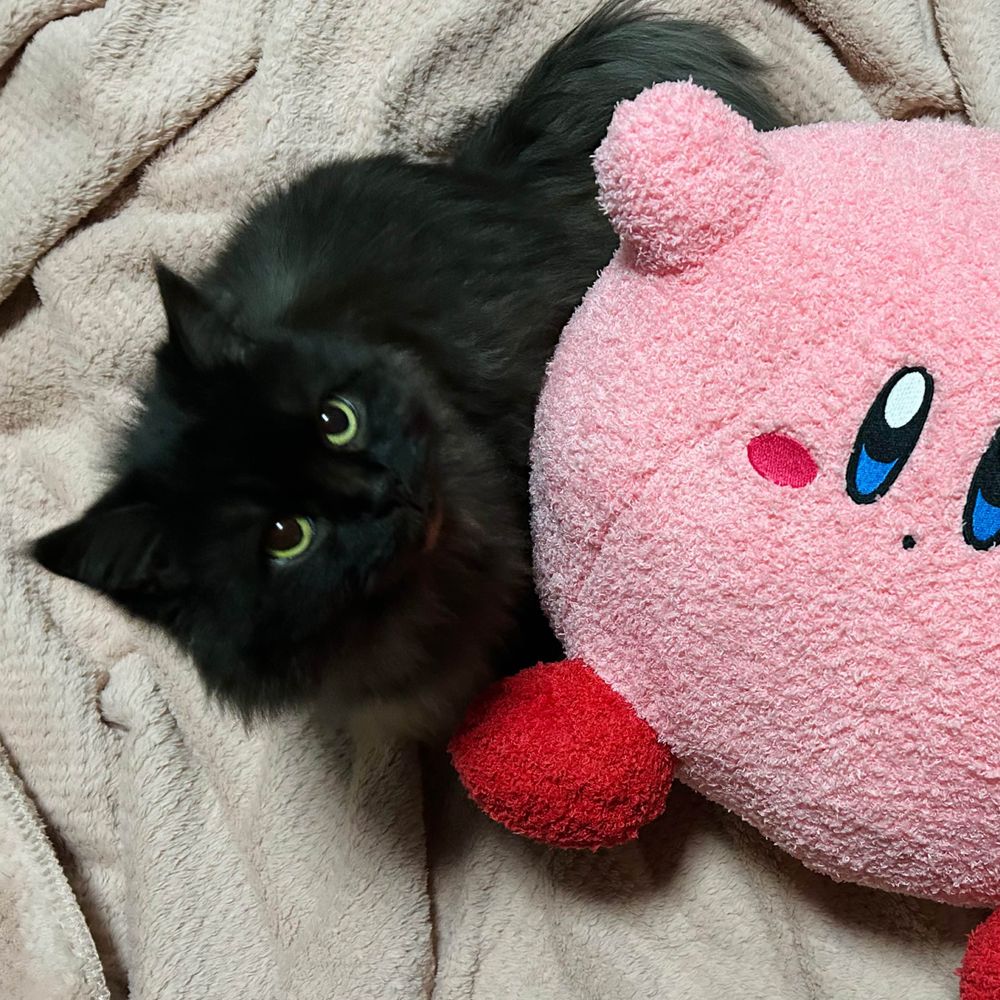 ぽぽ