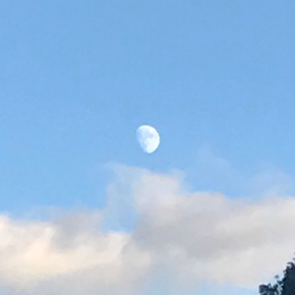 白月