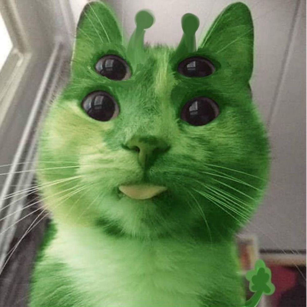 gato alienígena 